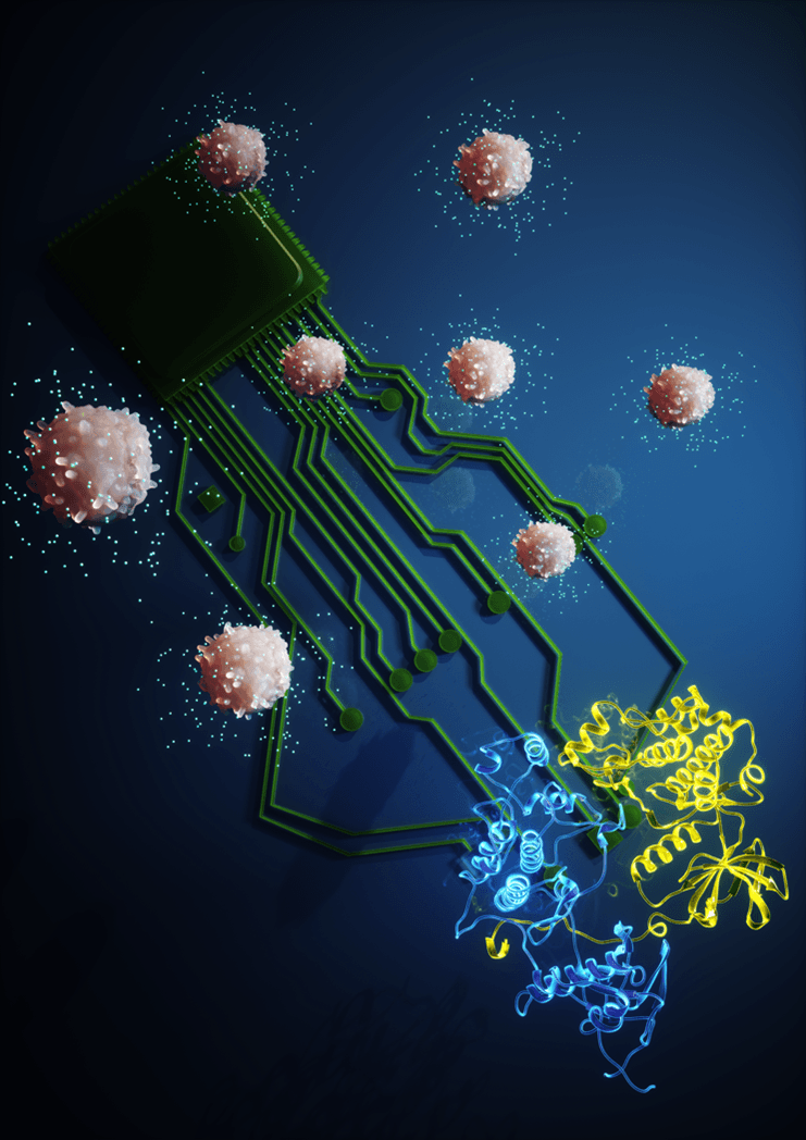 When two kinases go for a dance