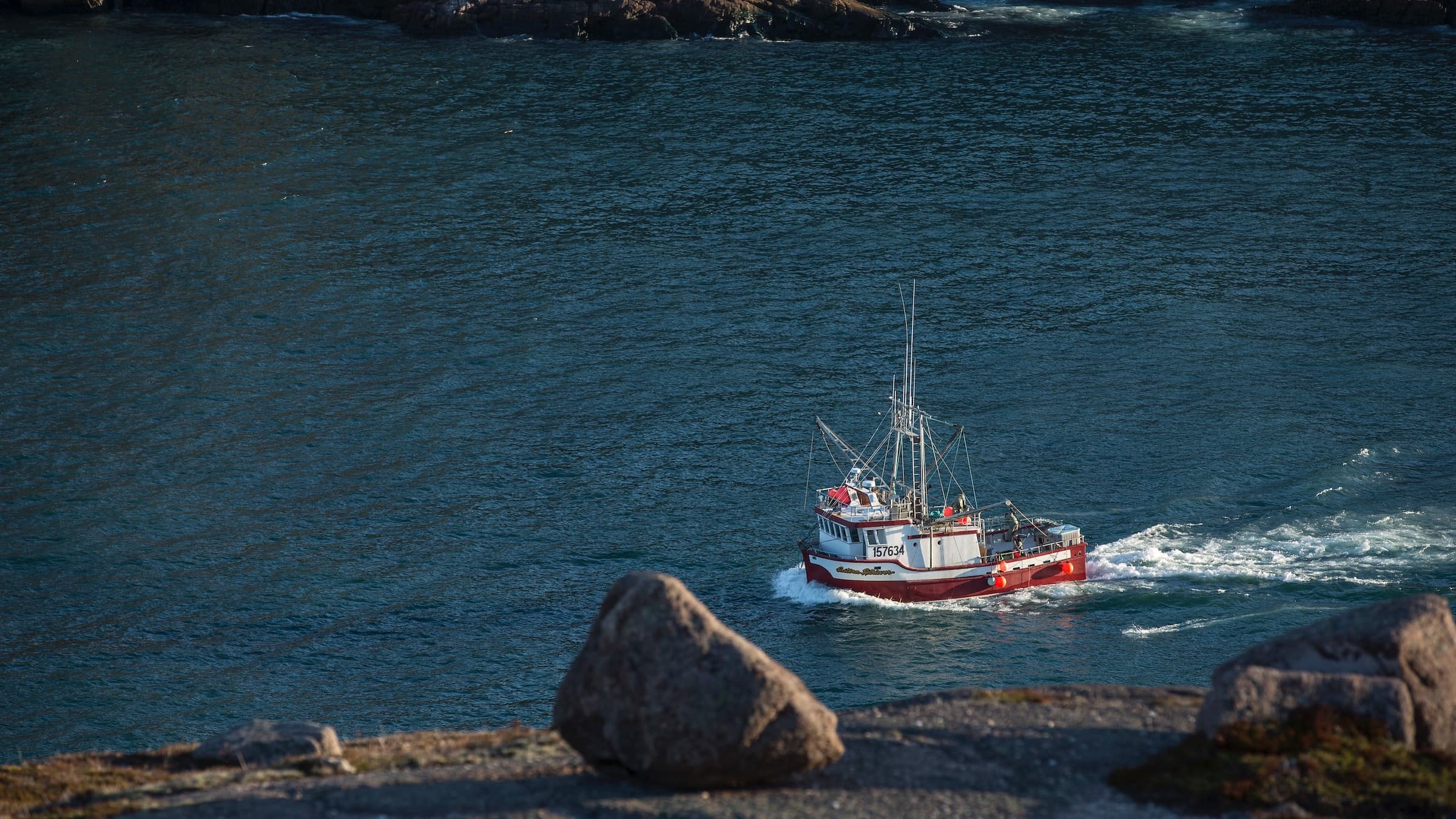 Salmon evolve quickly as a response to intense harvesting of their prey