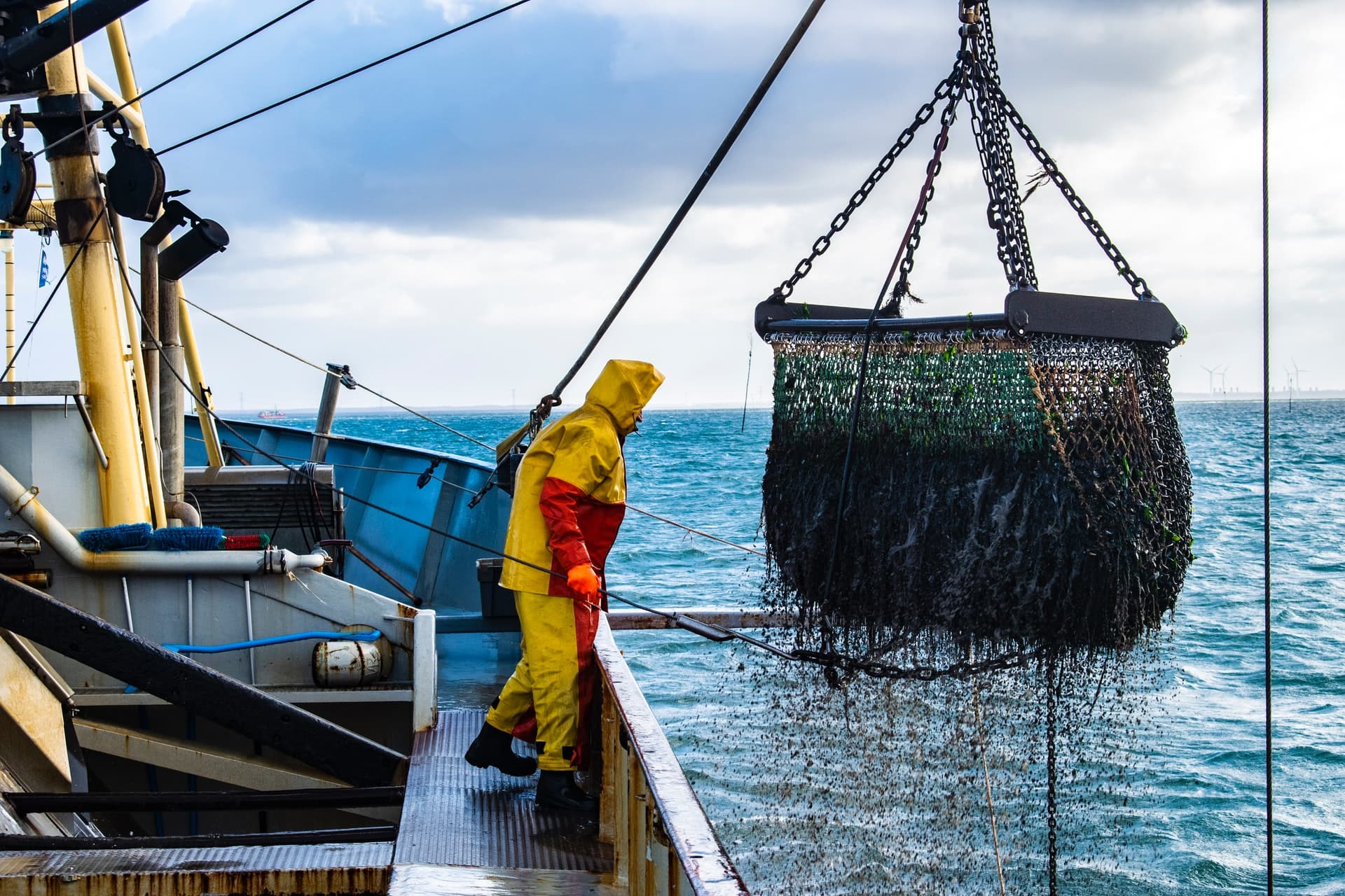 A rapidly changing ocean is alarming for fisheries sustainability