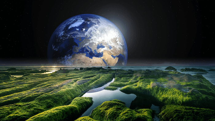 Are planets with oxygen-rich atmospheres rare?