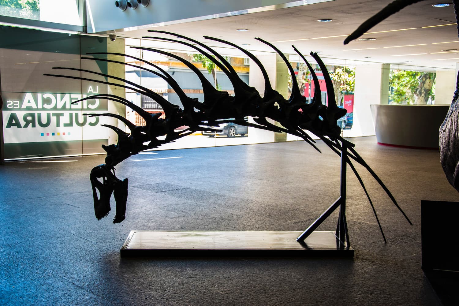 Back off predators!! Herbivorous dinosaur with spiny neck