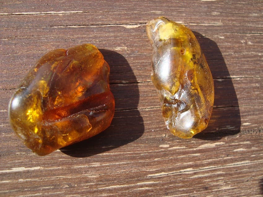 Blood from a golden stone: dinosaur discoveries within amber