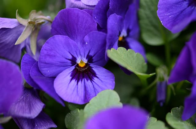 Exploring nature to treat multiple sclerosis