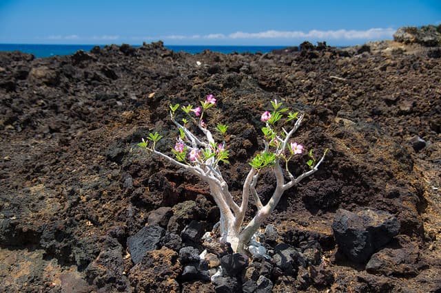 Fighting back antibiotic resistance: a new hope from the soil