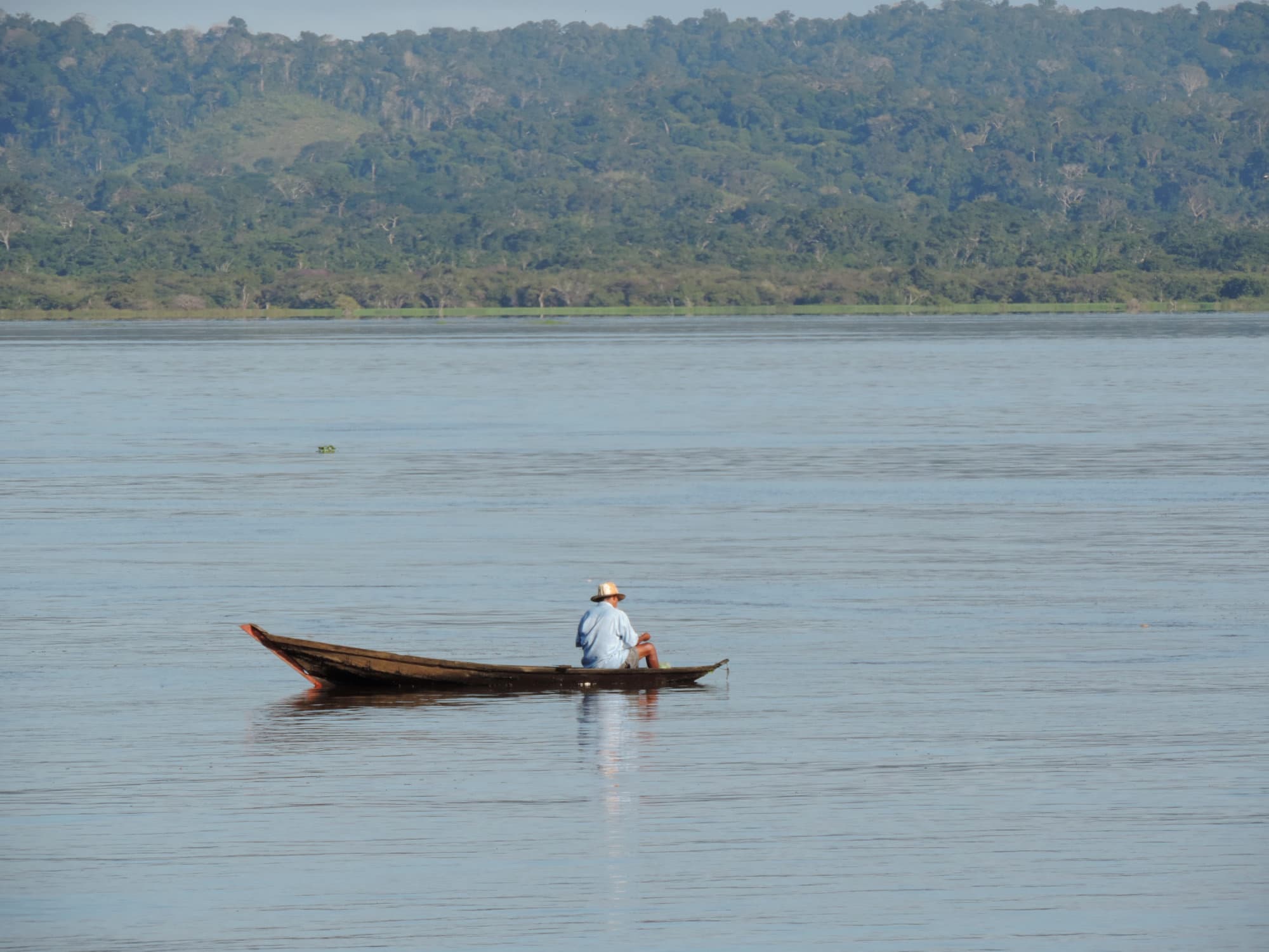 Go with the flow: dams could have a far-reaching impact on fisheries in tropical rivers