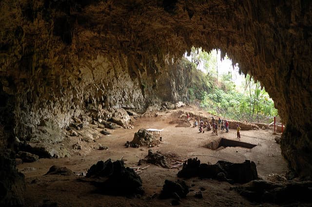 Homo floresiensis – little species, big mystery
