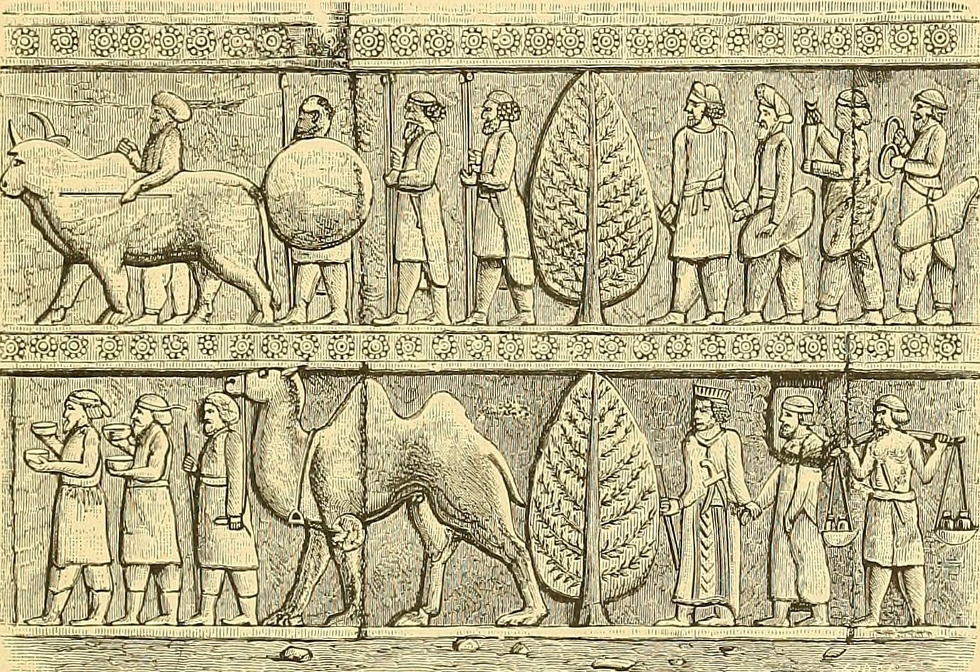 How humans gave acne to the grapevine