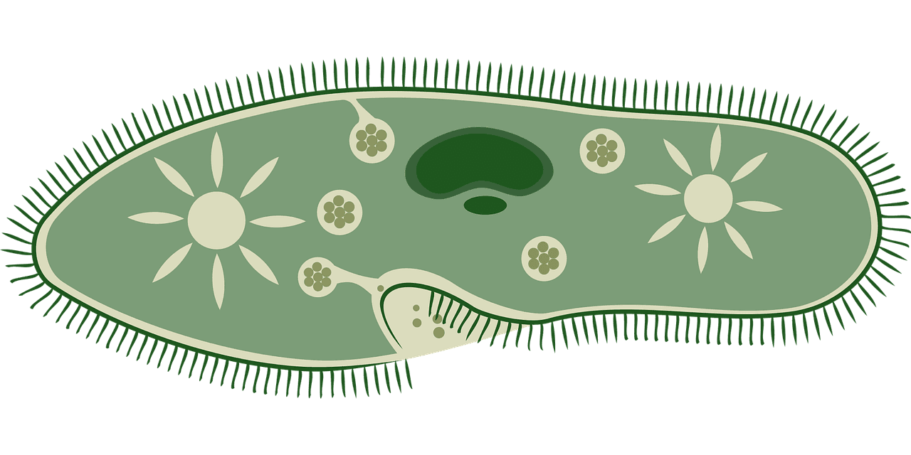 How to transcribe the untranscribable