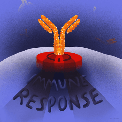 Mild or severe COVID-19? An antibody story