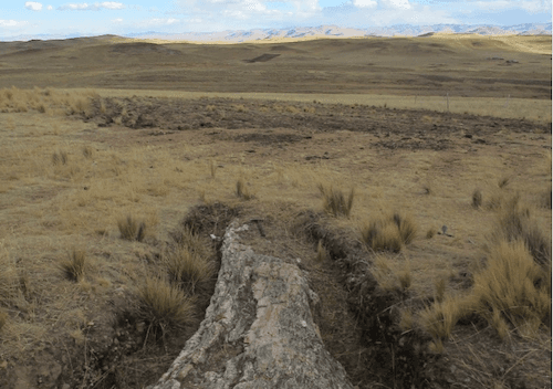 Postcards from the past: how a fossil tree can picture the Peruvian Andes ten million years ago