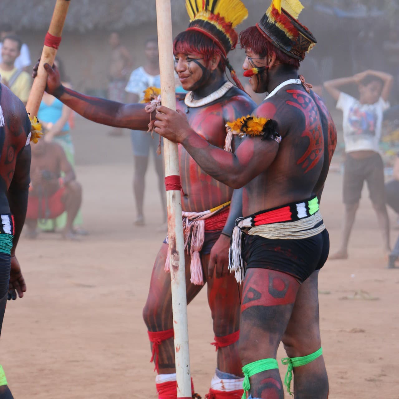 Reading South American history in the native Brazilian genomes