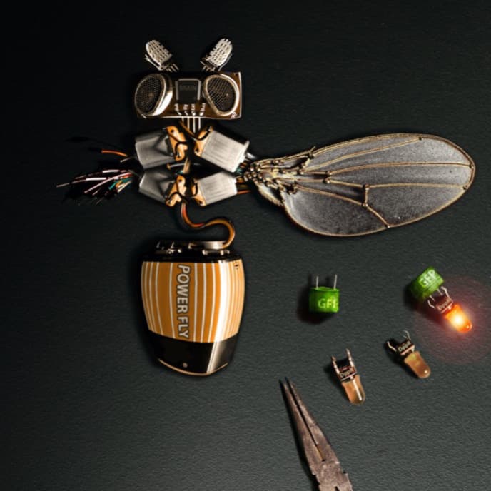 Strip it out and build it back! Engineering a morphogen gradient