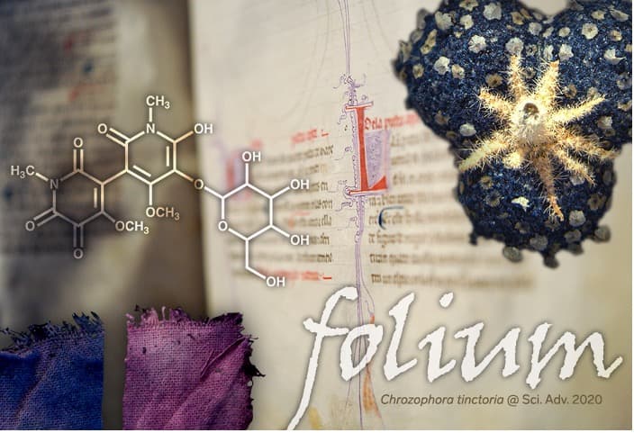 The 1000-year-old mystery of a medieval blue solved!