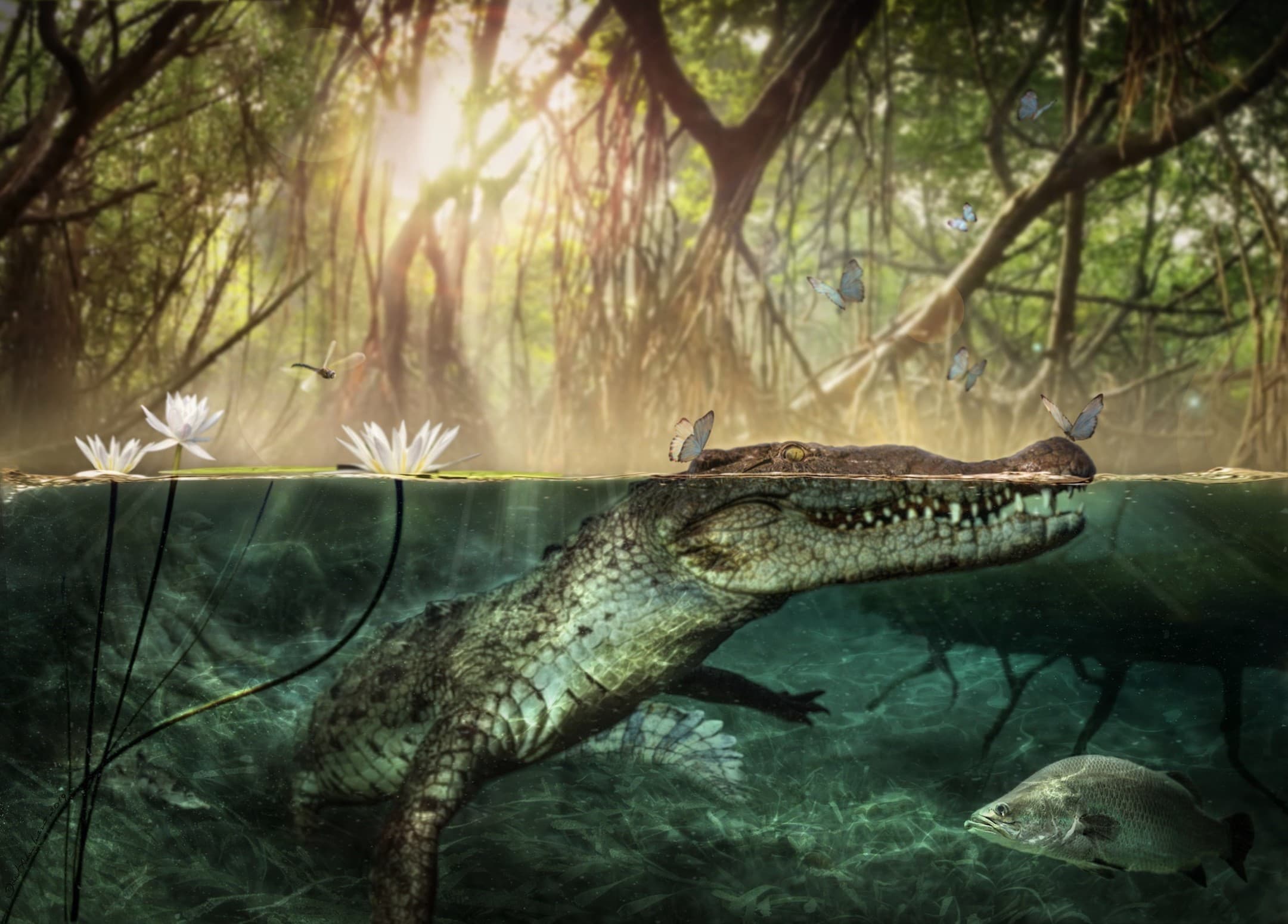 The crocodile that crossed an ocean