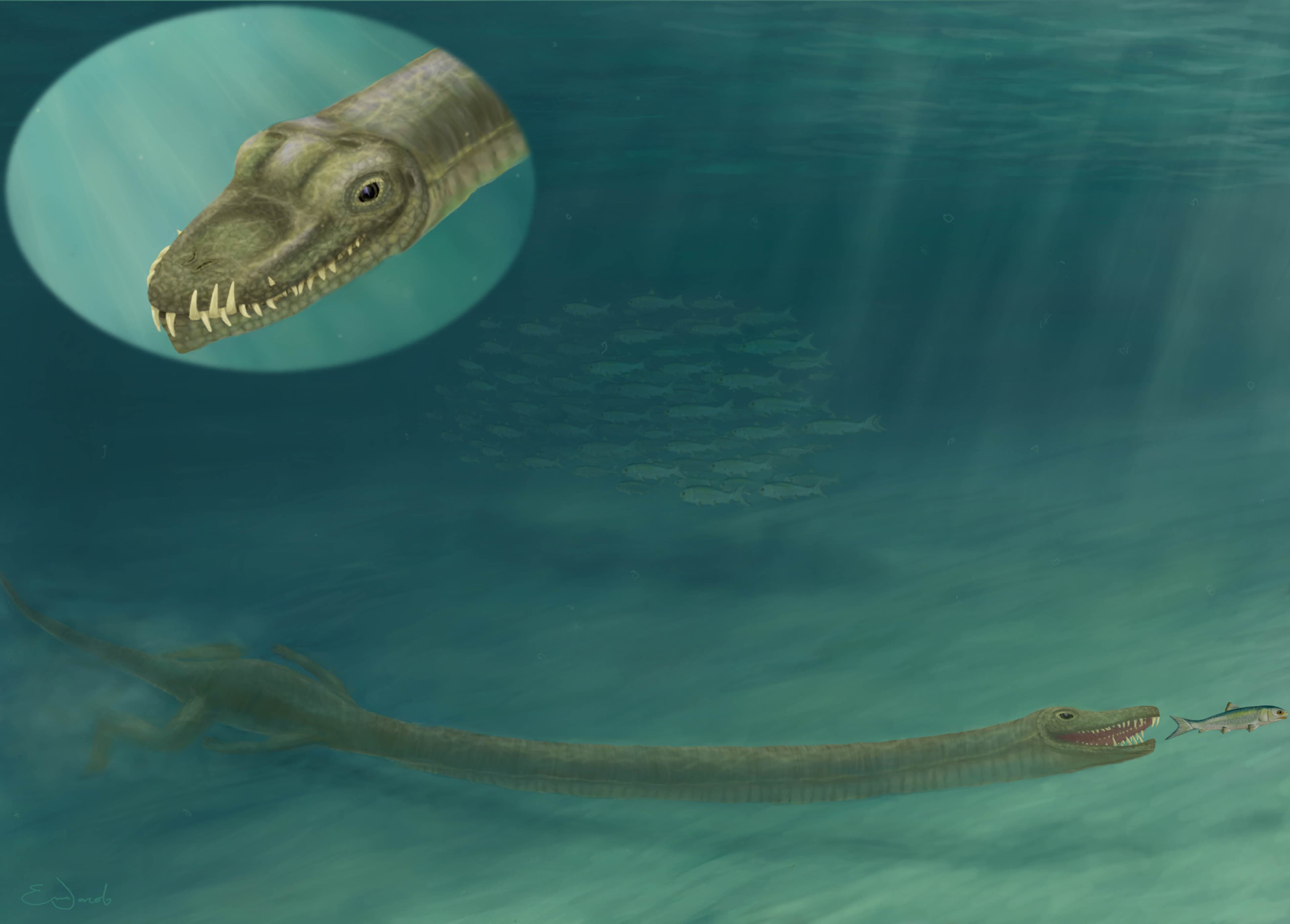 The mystery of an ancient reptile with a ridiculously long neck